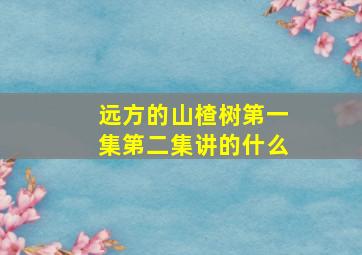 远方的山楂树第一集第二集讲的什么