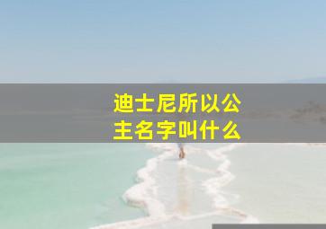 迪士尼所以公主名字叫什么