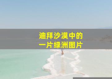 迪拜沙漠中的一片绿洲图片