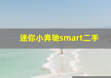 迷你小奔驰smart二手