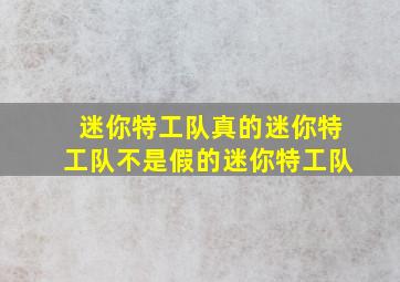 迷你特工队真的迷你特工队不是假的迷你特工队