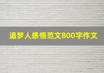 追梦人感悟范文800字作文