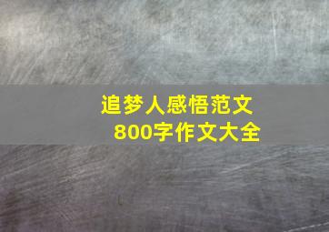 追梦人感悟范文800字作文大全