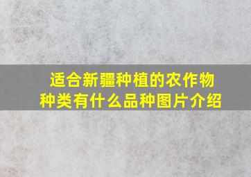 适合新疆种植的农作物种类有什么品种图片介绍