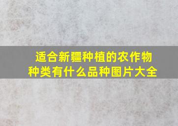 适合新疆种植的农作物种类有什么品种图片大全