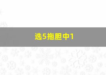 选5拖胆中1