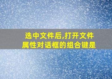 选中文件后,打开文件属性对话框的组合键是