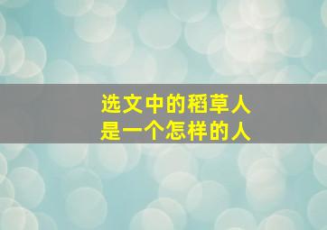 选文中的稻草人是一个怎样的人