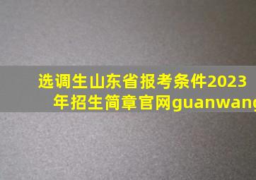 选调生山东省报考条件2023年招生简章官网guanwang