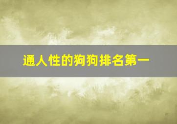 通人性的狗狗排名第一