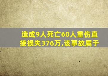 造成9人死亡60人重伤直接损失376万,该事故属于