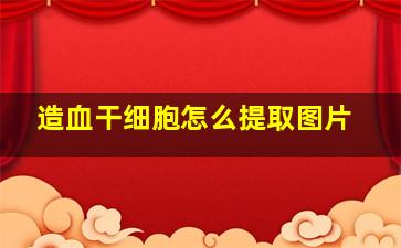 造血干细胞怎么提取图片