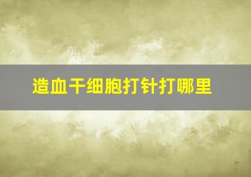 造血干细胞打针打哪里