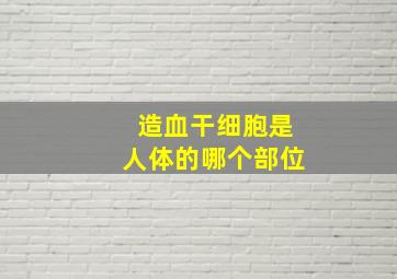 造血干细胞是人体的哪个部位