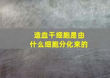 造血干细胞是由什么细胞分化来的