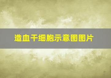 造血干细胞示意图图片