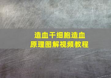 造血干细胞造血原理图解视频教程