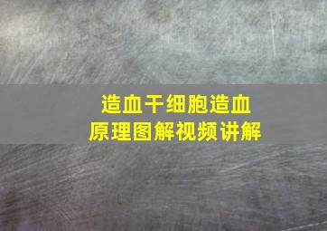 造血干细胞造血原理图解视频讲解