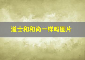 道士和和尚一样吗图片