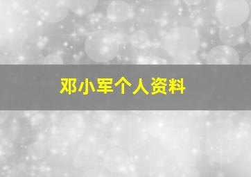 邓小军个人资料