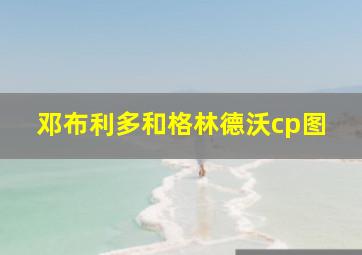 邓布利多和格林德沃cp图