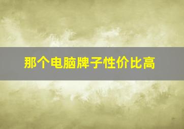 那个电脑牌子性价比高