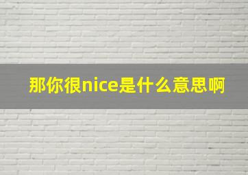 那你很nice是什么意思啊