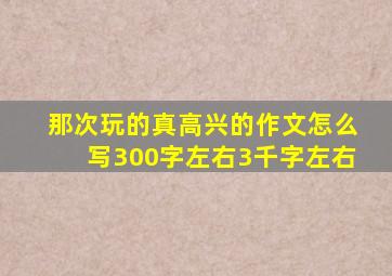 那次玩的真高兴的作文怎么写300字左右3千字左右