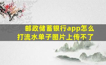 邮政储蓄银行app怎么打流水单子图片上传不了