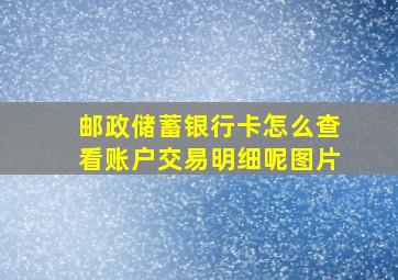 邮政储蓄银行卡怎么查看账户交易明细呢图片