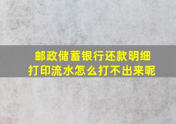 邮政储蓄银行还款明细打印流水怎么打不出来呢