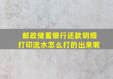 邮政储蓄银行还款明细打印流水怎么打的出来呢