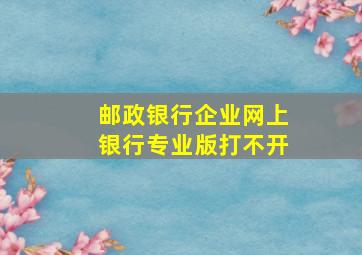 邮政银行企业网上银行专业版打不开