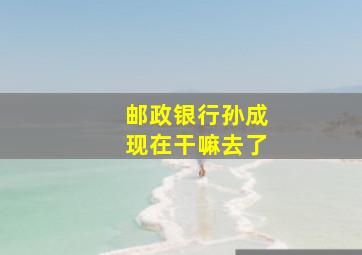 邮政银行孙成现在干嘛去了