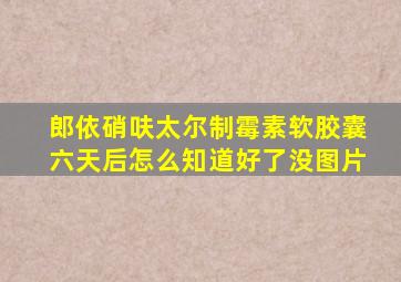 郎依硝呋太尔制霉素软胶囊六天后怎么知道好了没图片