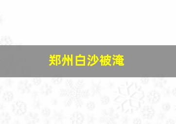 郑州白沙被淹