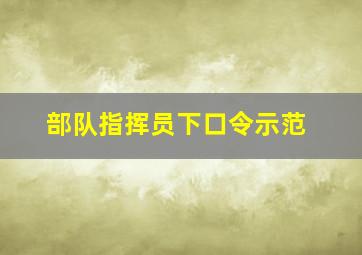 部队指挥员下口令示范