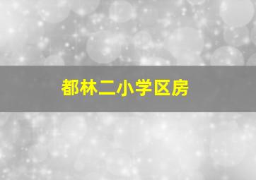 都林二小学区房