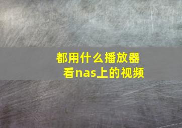 都用什么播放器看nas上的视频