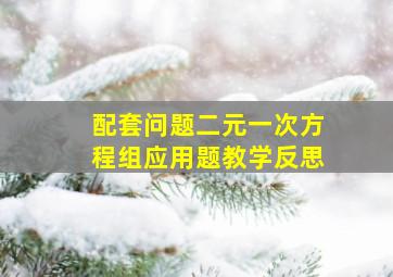 配套问题二元一次方程组应用题教学反思