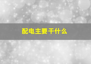 配电主要干什么