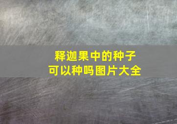 释迦果中的种子可以种吗图片大全