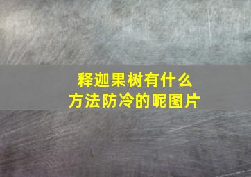 释迦果树有什么方法防冷的呢图片