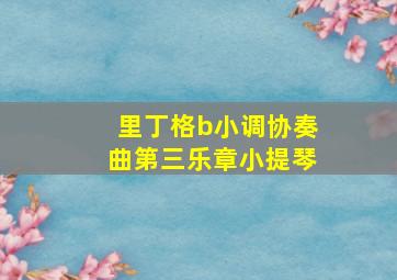 里丁格b小调协奏曲第三乐章小提琴