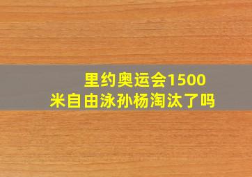 里约奥运会1500米自由泳孙杨淘汰了吗