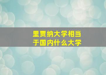 里贾纳大学相当于国内什么大学