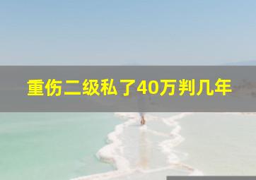 重伤二级私了40万判几年