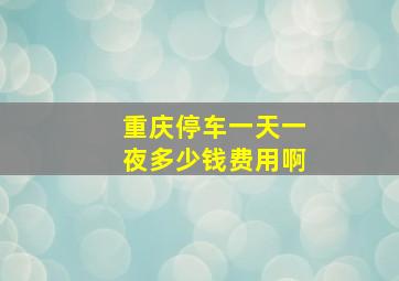 重庆停车一天一夜多少钱费用啊