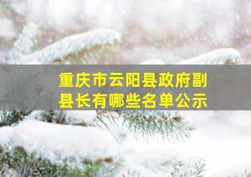 重庆市云阳县政府副县长有哪些名单公示