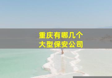 重庆有哪几个大型保安公司